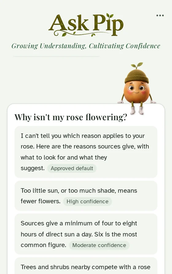 An Ask Pip answer to the question Why isn't my rose flowering, with each statement showing its confidence rating