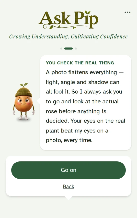 An Ask Pip screen headed You check the real thing, in which Pip explains that a photo flattens everything